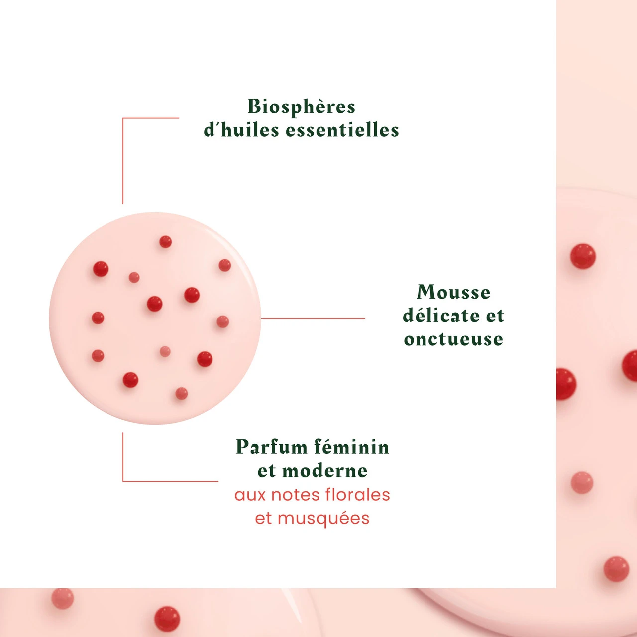 Shamp Tonucia René Furterer 50ml – Image 2