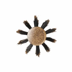 Brosses En Bois De Frêne Ø 55 MM 5 Brosses En Bois De Frêne Ø 55 MM -Produits Coiffure Soldes Brosses En Bois De frene 35 MM 89820.1749822189