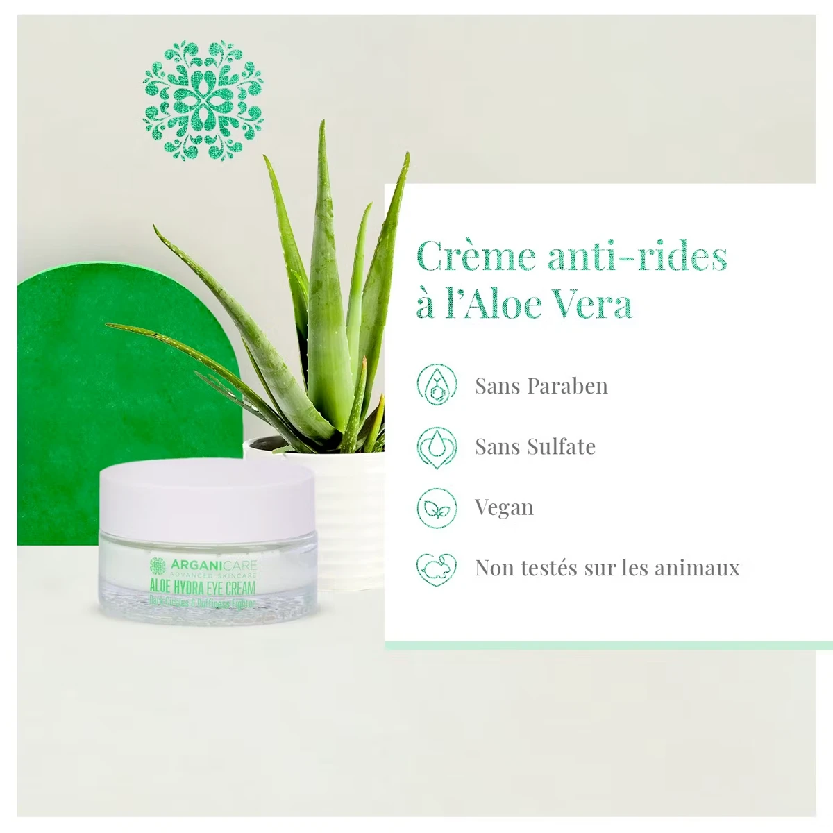 Crème Anti-Rides à L'Aloe Vera Arganicare 30ml 2 Crème Anti-Rides à L'Aloe Vera Arganicare 30ml – Image 2