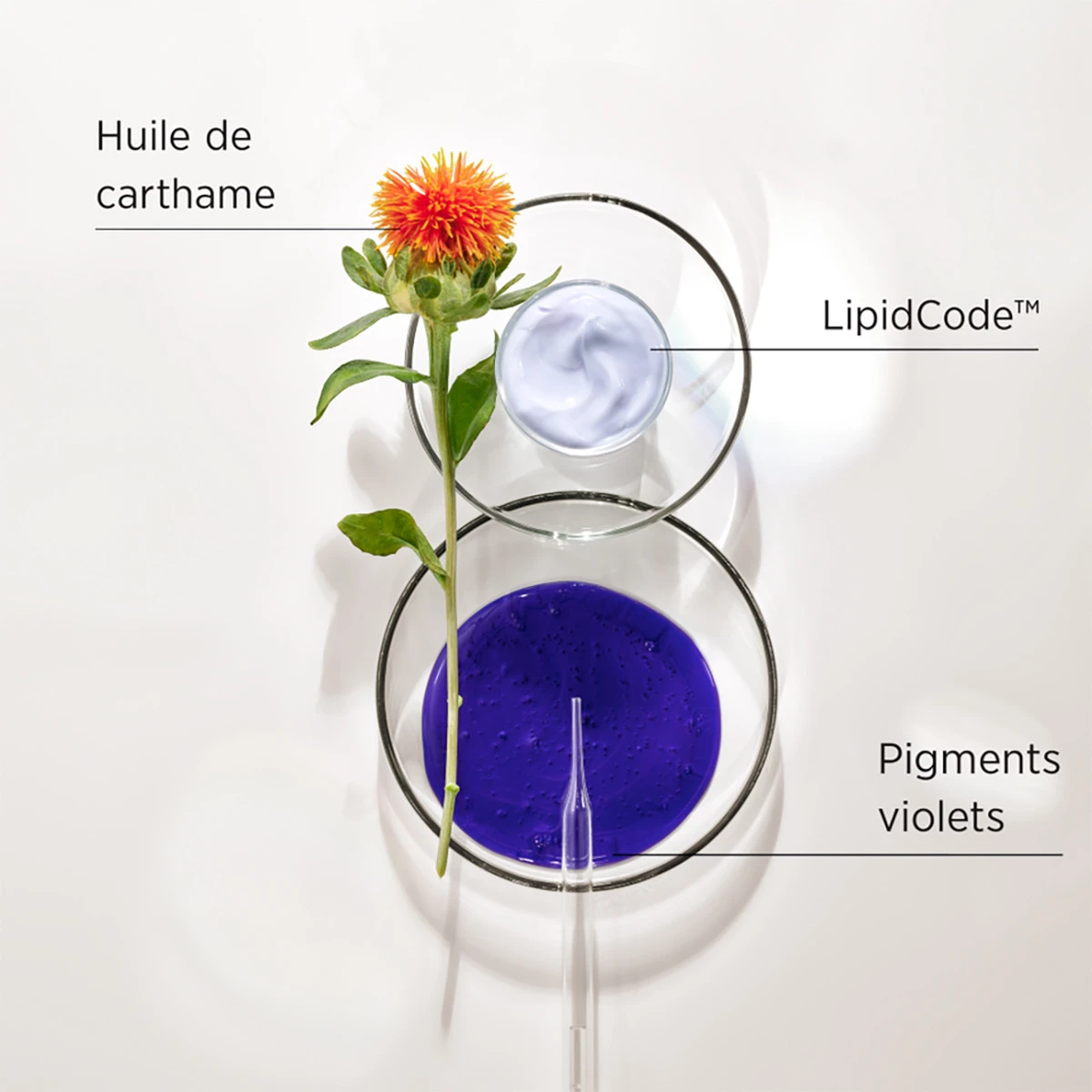 Shampooing LuxeBlond System Professional 250ml 2 Shampooing LuxeBlond System Professional 250ml – Image 2