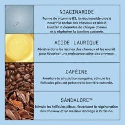 Shampooing Anti-Chute Au Sandalore Nioxin 240 Ml -Produits Coiffure Soldes shpantichute 3 05740.1730110145